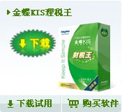 金蝶KIS理税王/财务软件